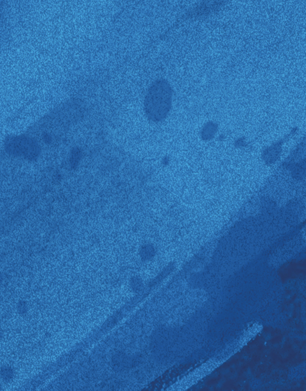 Antiquity Blue