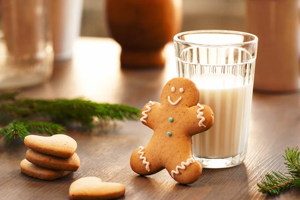 Taste the Season Gingerbread Cream Liqueur