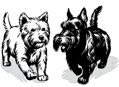 Black & White Dog Image