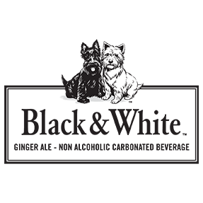 Black & White Dog