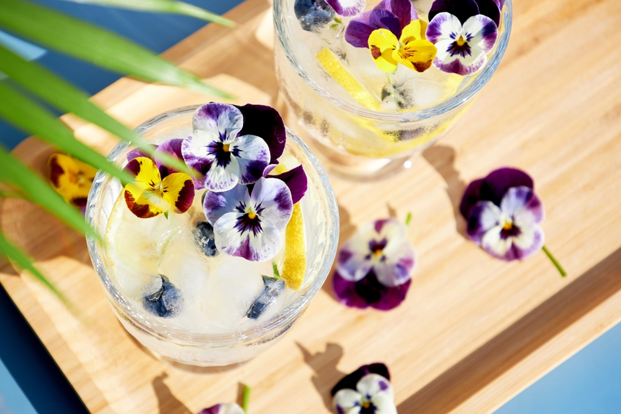 Edible Flower Cocktail Garnish Ideas 2024 – Cocktail Garnishes