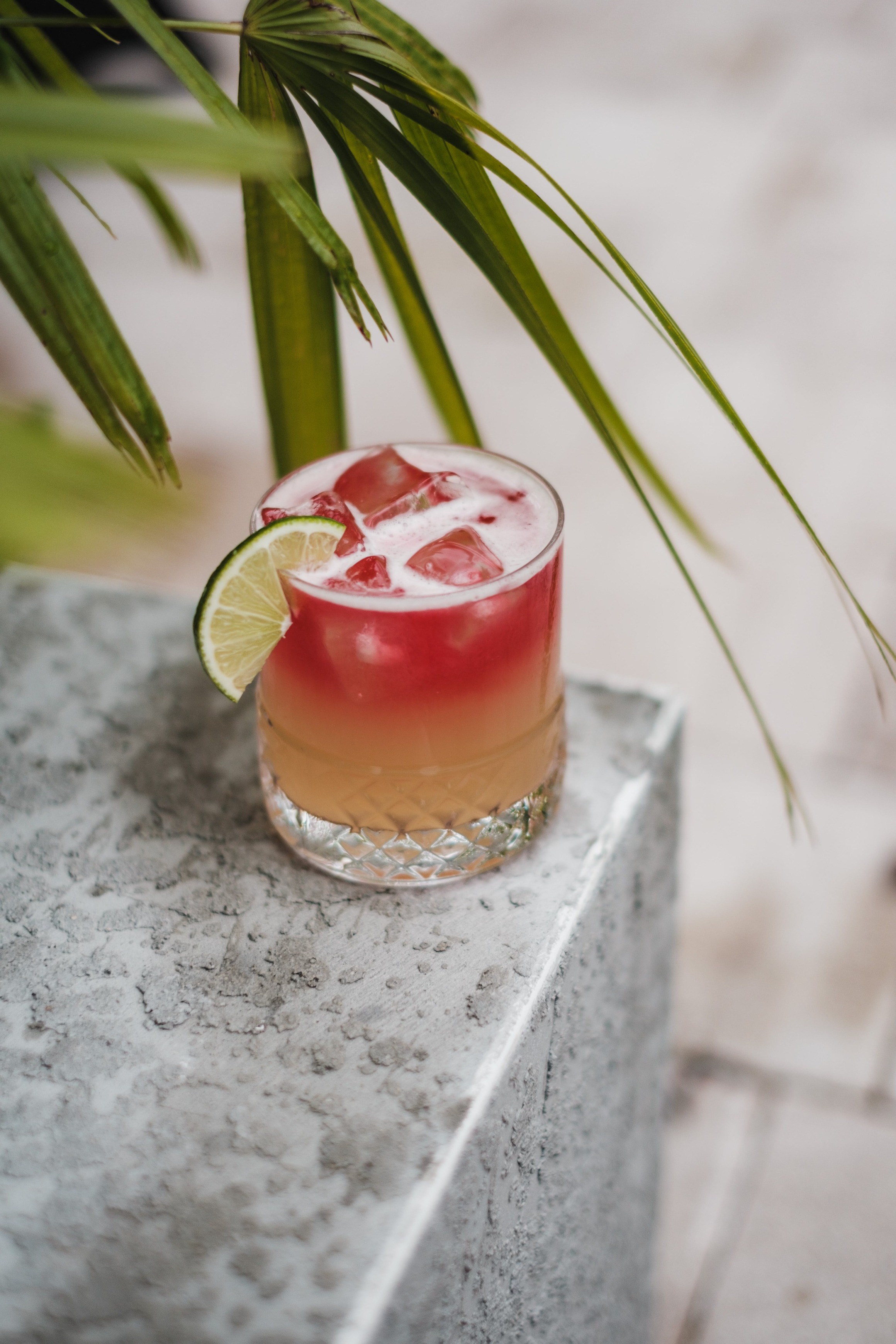 5 Shrub Cocktail Recipes You Can Try At Home