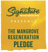 Signature Mangrove logo