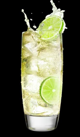 Basil Cucumber Smash serve