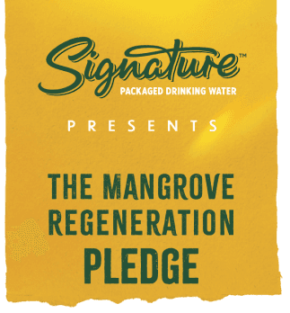 Signature Mangrove logo